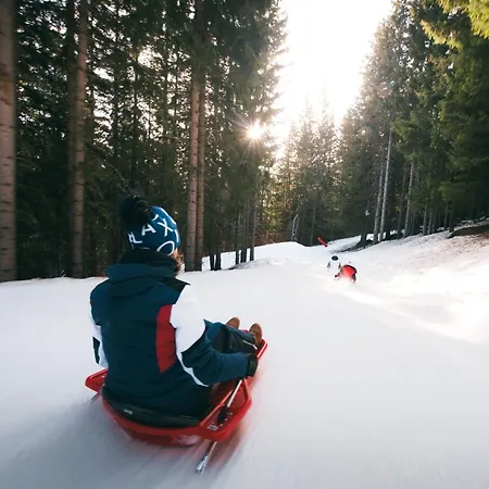 2 Pieces Confortable, Skis Aux Pieds, Proche Commerces - Fr-1-182a-36 Apartment