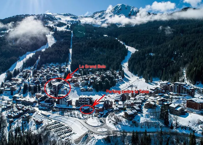 Apartment 2 Pieces Confortable, Skis Aux Pieds, Proche Commerces - Fr-1-182a-36